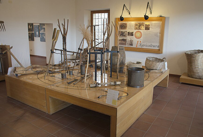 Museo
